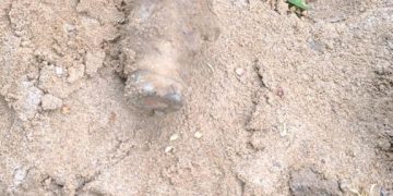 Jesteś głuchy? Nie-wy-buchy!