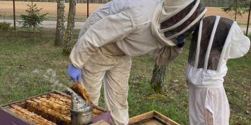 Pszczółka Maja sobie lata, o! o! o! …