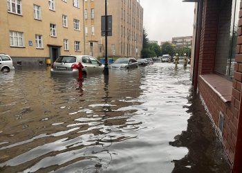 Weryfikacja miejsc newralgicznych, czyli skutki nawałnicy