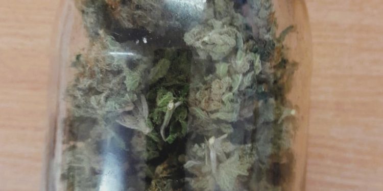 Kaznodzieja na wesoło: w słoik ogór, a nie zioło!