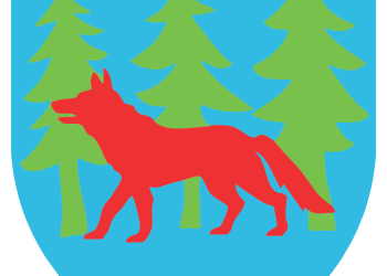 (Juma)ngi? Z Grajewa do Ełku! Młode wilczyce w akcji