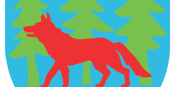 (Juma)ngi? Z Grajewa do Ełku! Młode wilczyce w akcji