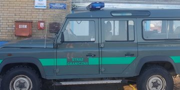 Salmonella hybrydowa?