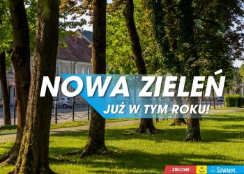 SKANDAL! Suwałki toną w zieleni, a Ełk w betonie