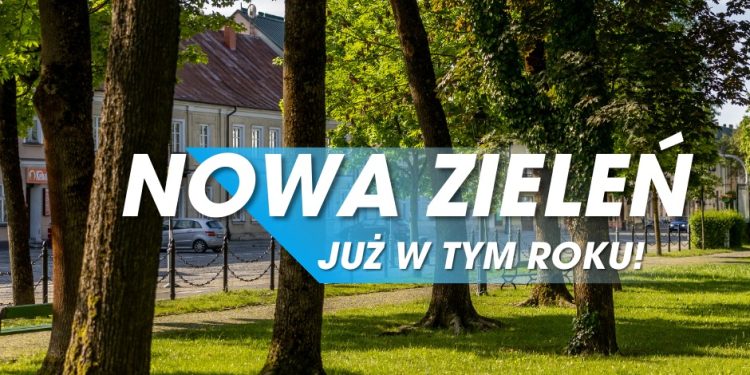 SKANDAL! Suwałki toną w zieleni, a Ełk w betonie