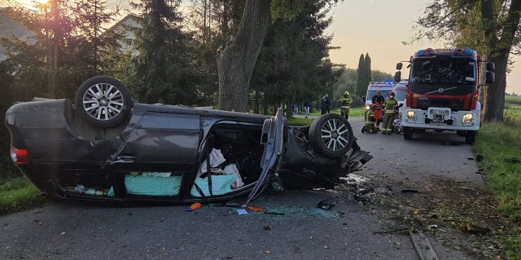 Śmiertelny taniec z łosiem! Volkswagen dachował w Bajdach
