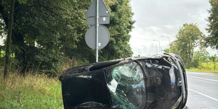 Horror na drogach. O włos od tragedii!