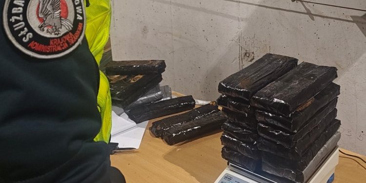 Funkcjonariusze nie mogli uwierzyć w to, co znaleźli!