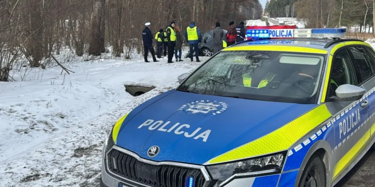 Wystarczyła sekunda. Dramatyczny finał spotkania z łosiem