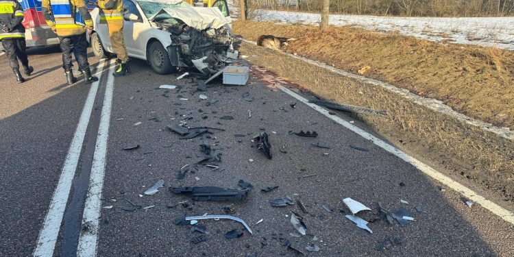 Łoś wyskoczył ze skarpy – kierowca nie miał szans