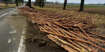 Kłody drewna na jezdni. Utrudnienia, ruch wahadłowy
