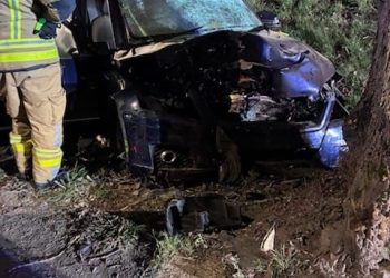 65-LATEK ZGINĄŁ NA MIEJSCU PO UDERZENIU W DRZEWO