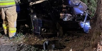 65-LATEK ZGINĄŁ NA MIEJSCU PO UDERZENIU W DRZEWO