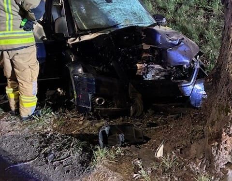 65-LATEK ZGINĄŁ NA MIEJSCU PO UDERZENIU W DRZEWO