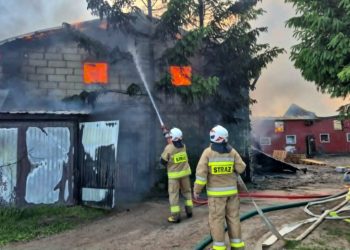 Tragedia w gospodarstwie! 700 świń w płonącej chlewni