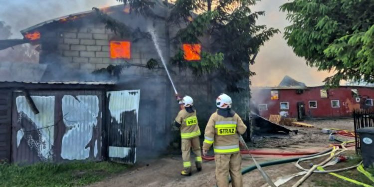 Tragedia w gospodarstwie! 700 świń w płonącej chlewni