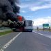 Dramatyczne chwile na DK16. Ogień błyskawicznie objął autobus