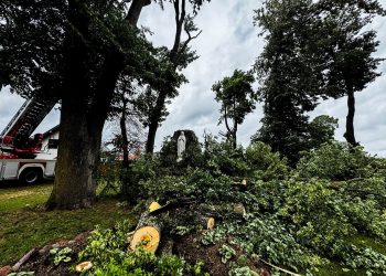 Cudowne ocalenie? Niezwykły widok w Stradunach