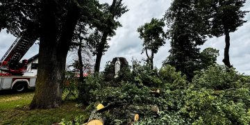 Cudowne ocalenie? Niezwykły widok w Stradunach
