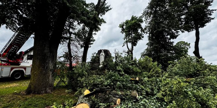 Cudowne ocalenie? Niezwykły widok w Stradunach