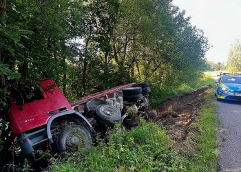 SEKUNDY ZDECYDOWAŁY! ŁOŚ WYSKOCZYŁ NA DROGĘ, KIEROWCA …