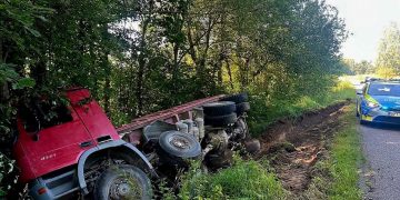SEKUNDY ZDECYDOWAŁY! ŁOŚ WYSKOCZYŁ NA DROGĘ, KIEROWCA …