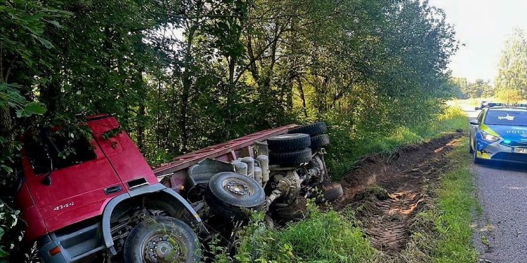 SEKUNDY ZDECYDOWAŁY! ŁOŚ WYSKOCZYŁ NA DROGĘ, KIEROWCA …