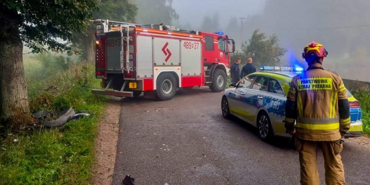 AUDI WBIŁO SIĘ W DRZEWA, POTEM WJECHAŁO DO WODY.FILM!