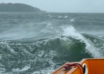🍺🚤 „TO KOBIETA PROWADZIŁA”? POLICJANCI SZYBKO ODKRYLI PRAWDĘ …