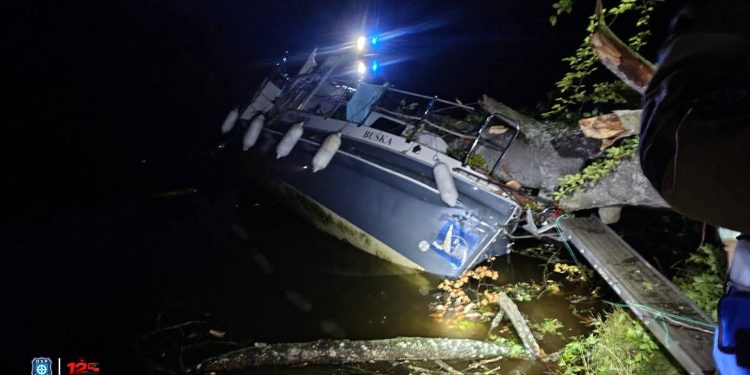 DRZEWO RUNĘŁO NA ŁÓDŹ NA JEZIORZE ILIŃSKIM! CHWILE GROZY