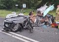 HORROR! KIEROWCA ZAKLESZCZONY WE wraku, NIE ŻYJE PIES