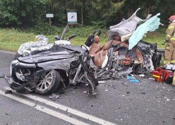 HORROR! KIEROWCA ZAKLESZCZONY WE wraku, NIE ŻYJE PIES