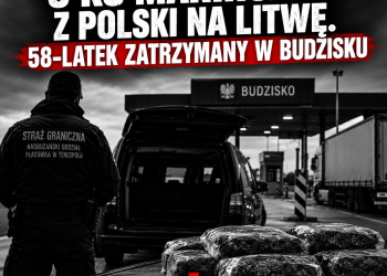 Granica, minivan i 8 kilogramów marihuany. Litwin w areszcie